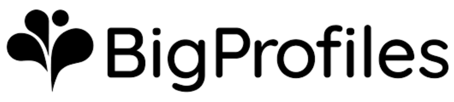 Logo BigProfiles